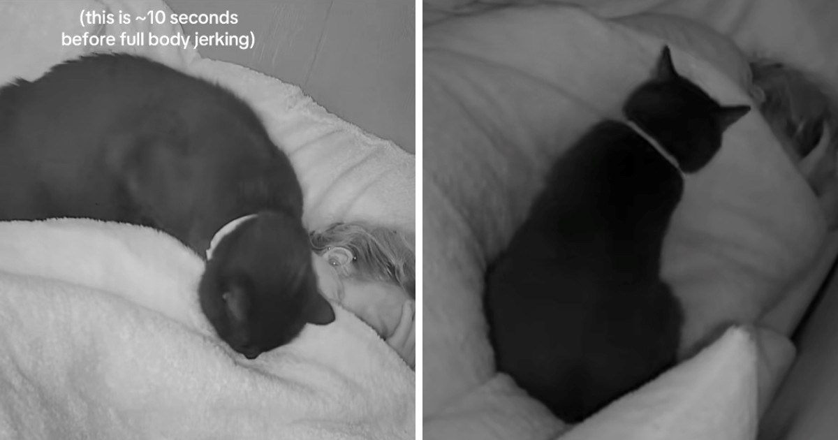 Prizor koji topi srca: Mačak tješi vlasnicu tijekom epileptičnih napadaja