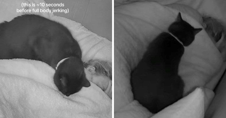 Prizor koji topi srca: Mačak tješi vlasnicu tijekom epileptičnih napadaja