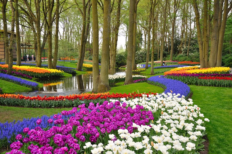Najljepši botanički vrt na svijetu otvoren je za posjetitelje, ima posebnu atrakciju