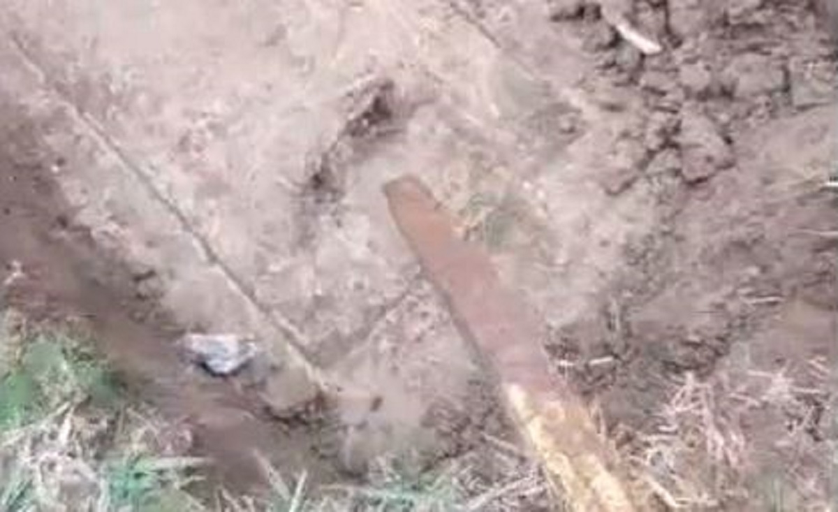 Ostao zgrožen kad je otkrio što je u "misterioznoj kutiji" koju je našao u vrtu