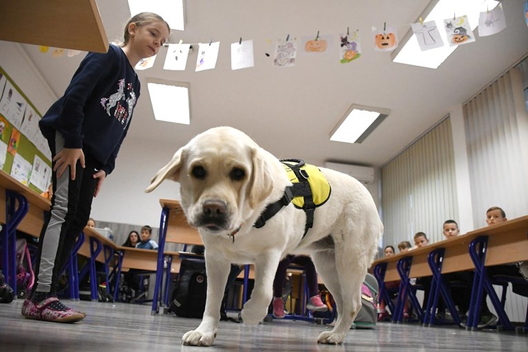 Ovo je Luna, terapijski pas koji svakog dana unosi radost u bjelovarsku osnovnu školu