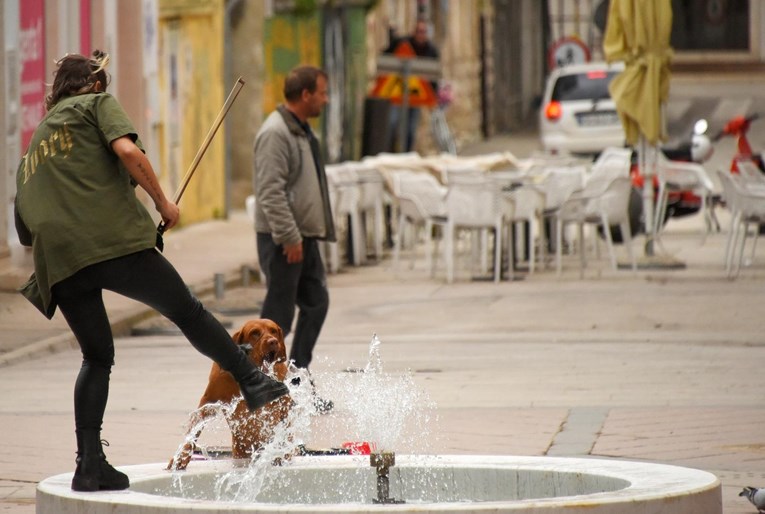 Ulična sviračica u Puli pomogla psu da se napije bez prekidanja svirke