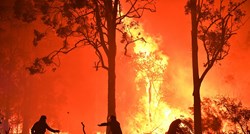 Izvještaj australske vlade iz 2008. godine predvidio je katastrofalne požare
