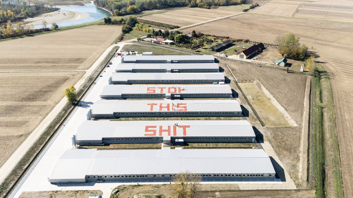 FOTO Aktivisti na krovovima hangara ispisali poruku protiv megafarme Veliki Pažut