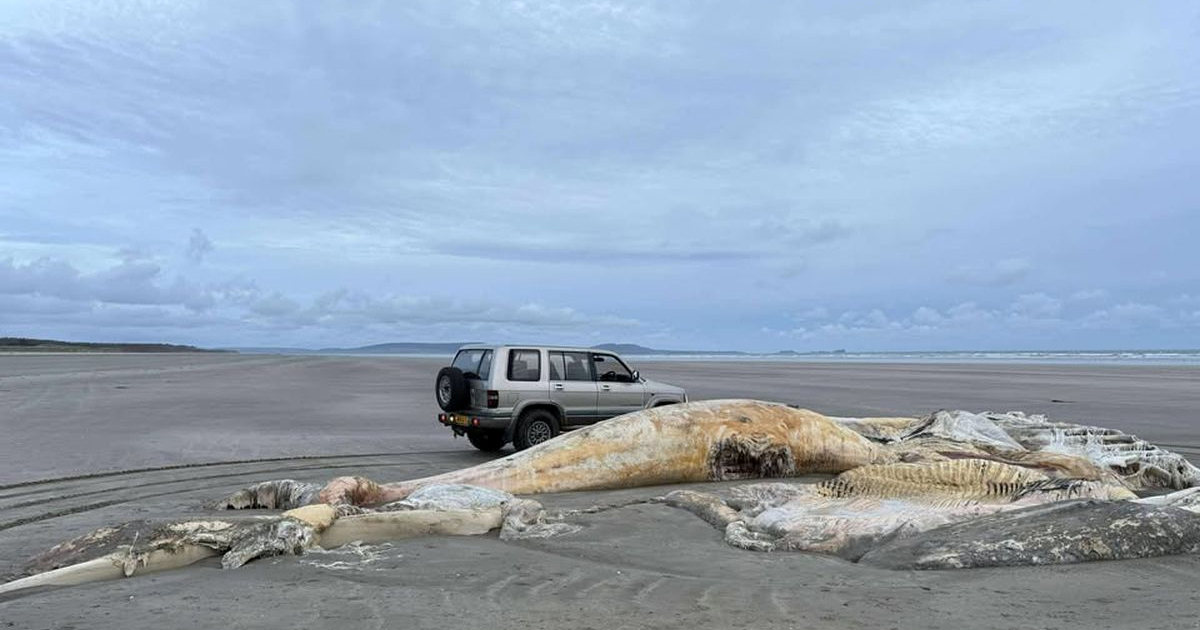 FOTO Ogromna le&#x161;ina nasukala se na popularnu pla&#x17E;u u Walesu