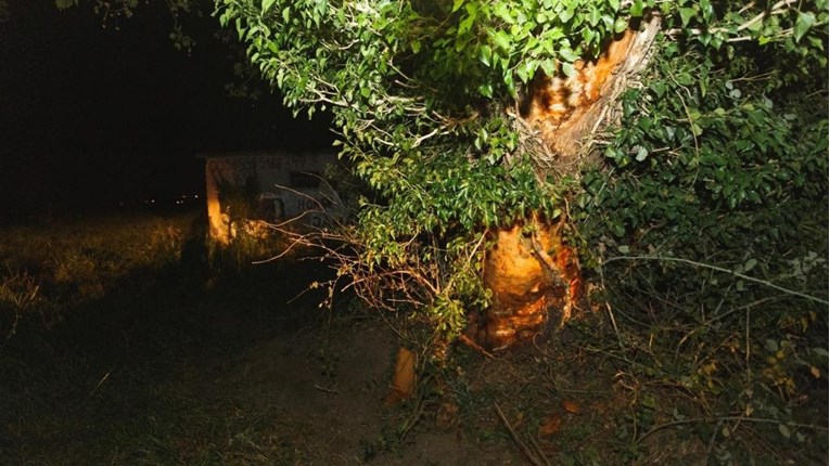 FOTO Detalji teške nesreće kod Biograda, zabili se u stablo i poginuli