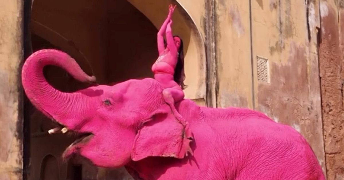 Ruska umjetnica u Indiji obojila slona u rozo, kasnije je uginuo. Pokrenuta istraga