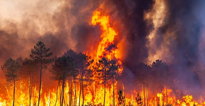 U Europi u šumskim požarima već izgorjelo više površine nego u cijeloj 2021.