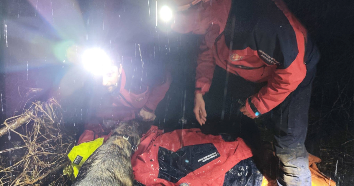 FOTO Potražni pas Luna spasila život nestaloj osobi na Erdutskoj planini