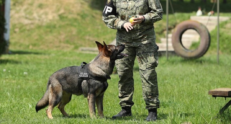 MORH objasnio zašto prodaje službene pse 