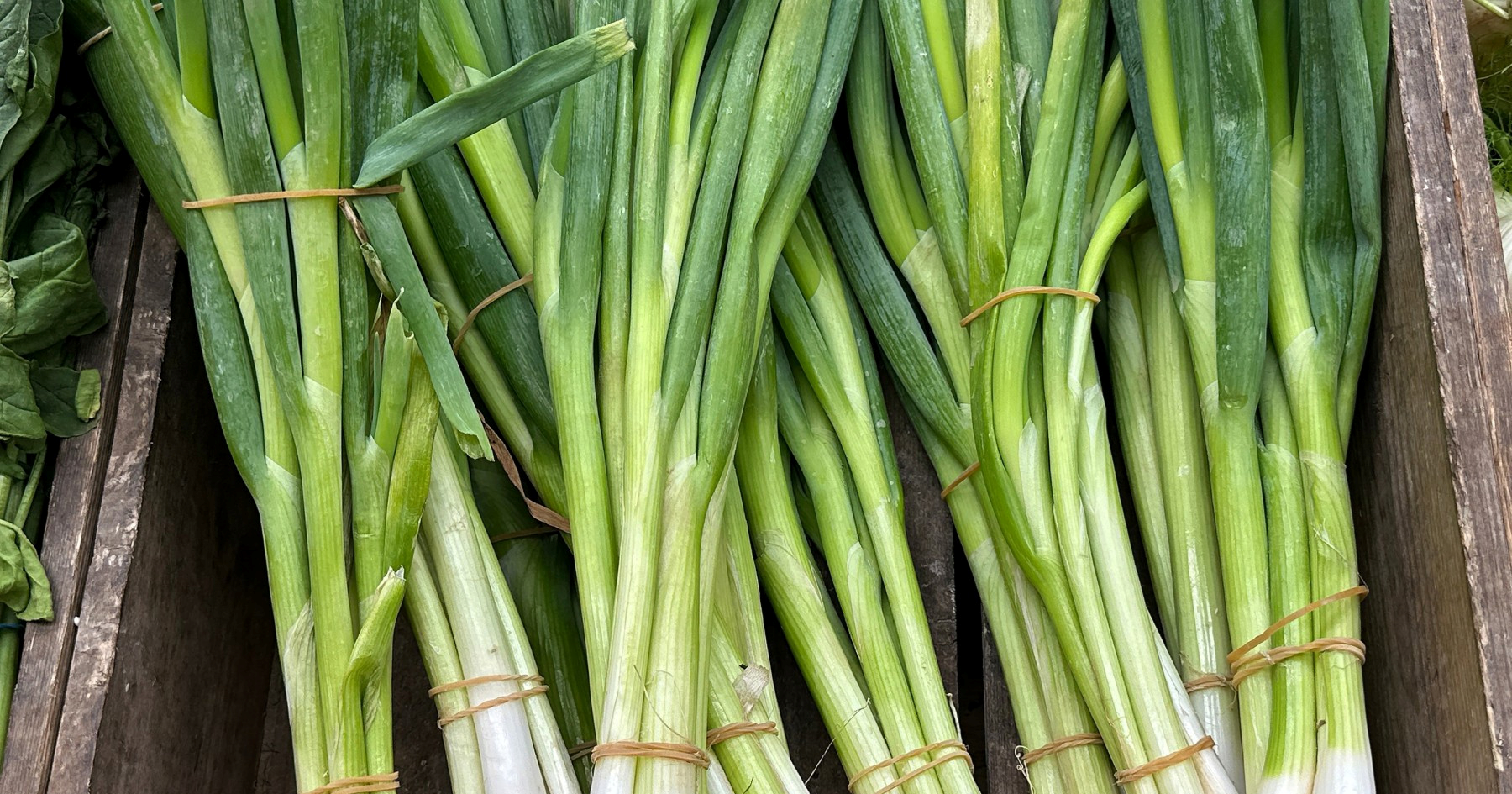 Većina ljudi baca zeleni dio mladog luka. Nemojte i vi, iskoristite ga