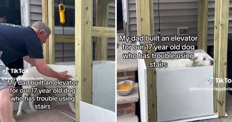 Vlasnik je izgradio lift za psa koji ne može hodati stepenicama
