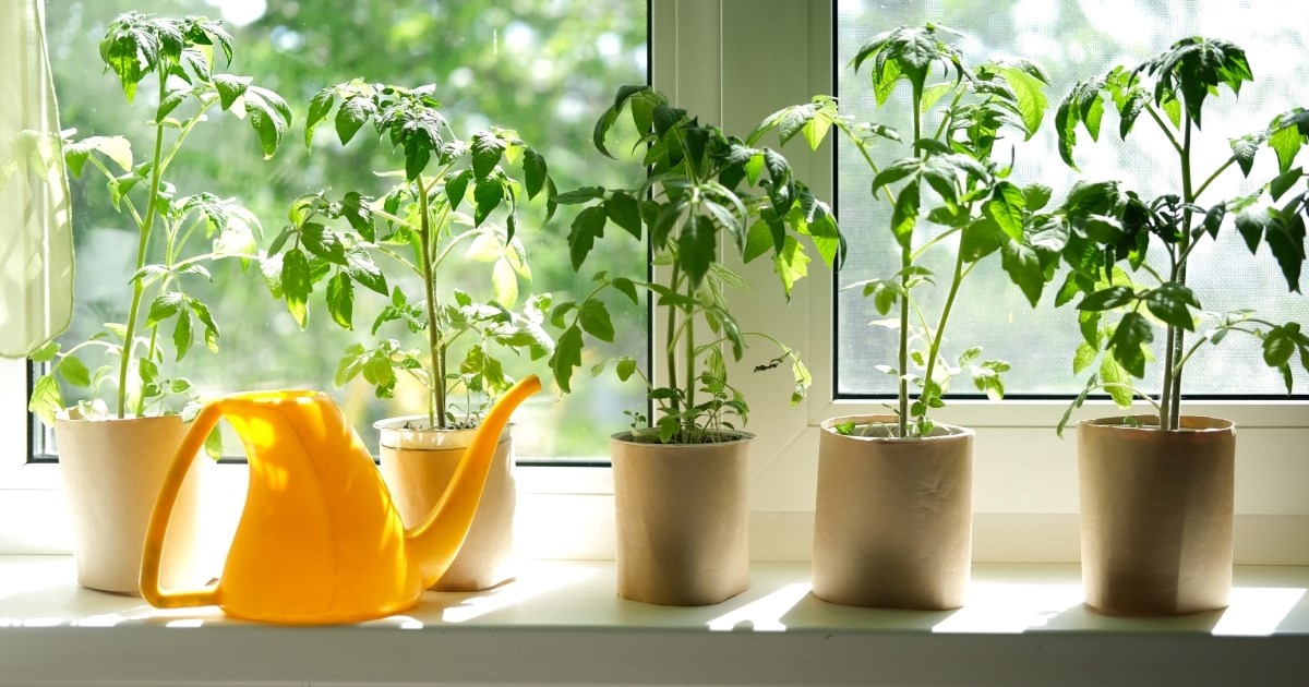 Nemate više mjesta za biljke? Ovo rješenje udvostručuje prostor na prozoru