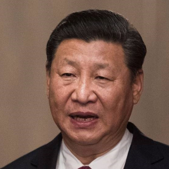 Xi će napraviti "sve što je potrebno" da suzbije prosvjede, kaže stručnjak