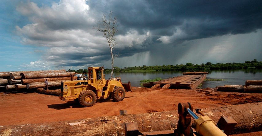 Afrika jedini kontinent na kojemu se ubrzava nestajanje šuma