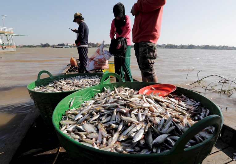 Zagrijavanje mora prijeti ribljem umaku koji se već stoljećima koristi u Vijetnamu