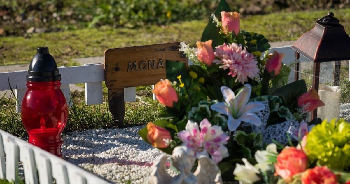 Ovako danas izgleda groblje kućnih ljubimaca u Zagrebu