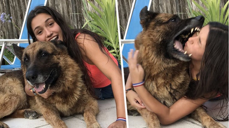 Fotografiranje je završilo jezivo: Djevojka dobila 40 šavova nakon ugriza psa