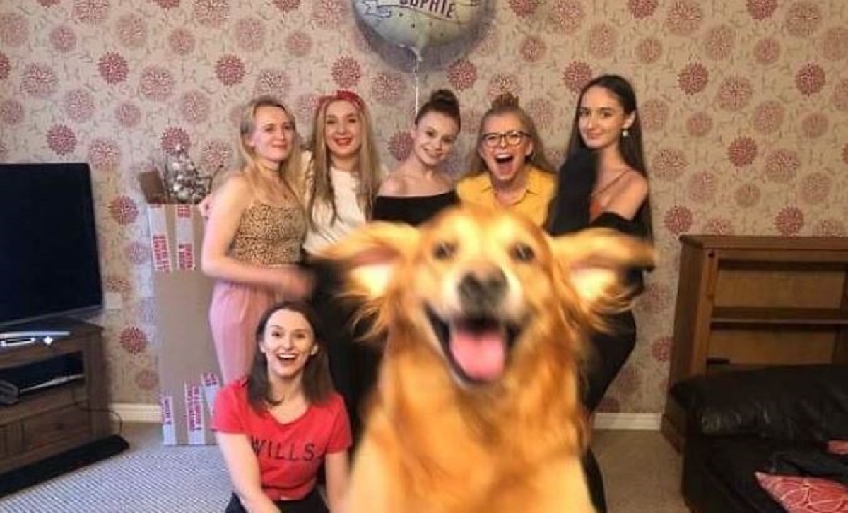 24 savršeno tempirane fotografije koje bi vas mogle nasmijati do suza