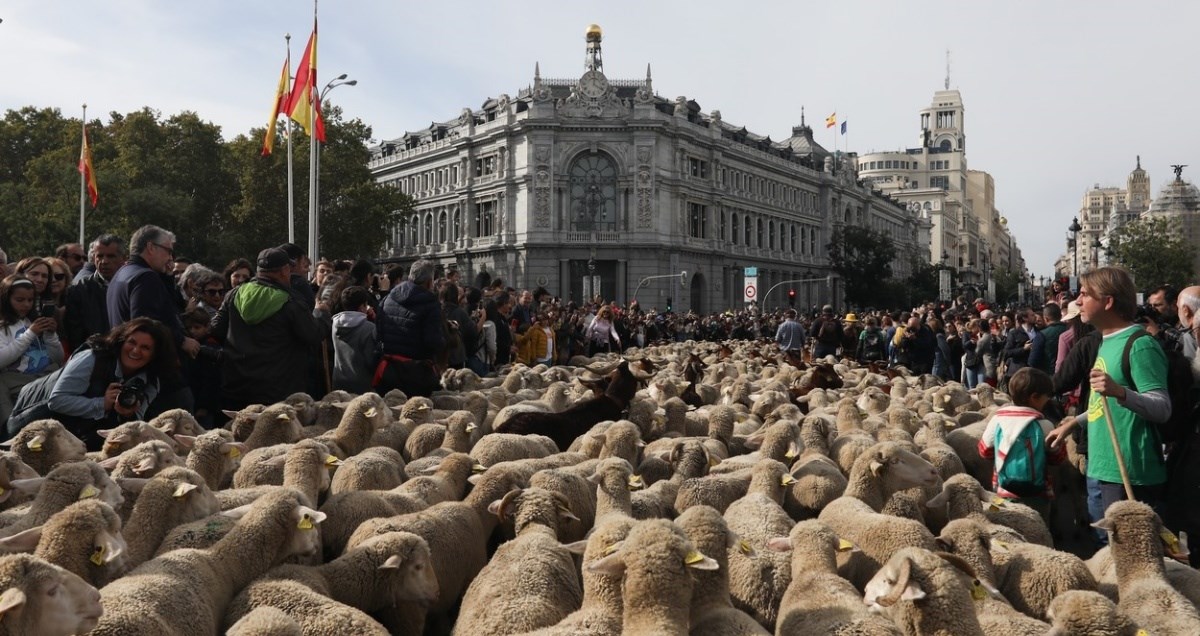 Ovako je jučer izgledao Madrid