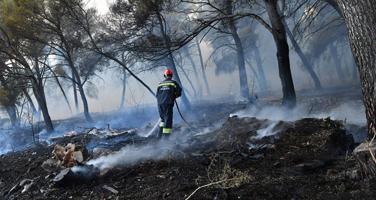 Nema više otvorene vatre kod Trogira. Pojavila se priča da je požar podmetnut