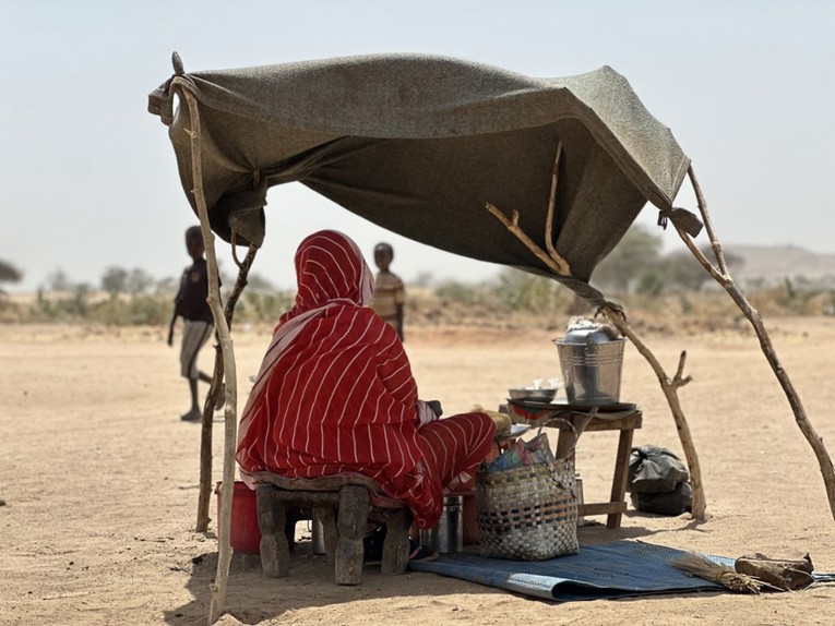 Otmice, silovanja i otkupnine. AP: To prolaze žene u ratu u Sudanu