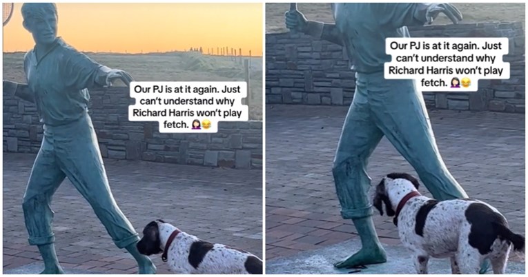 VIDEO Psa zbunio kip, nikako mu nije bilo jasno zašto se nije htio igrati s njim