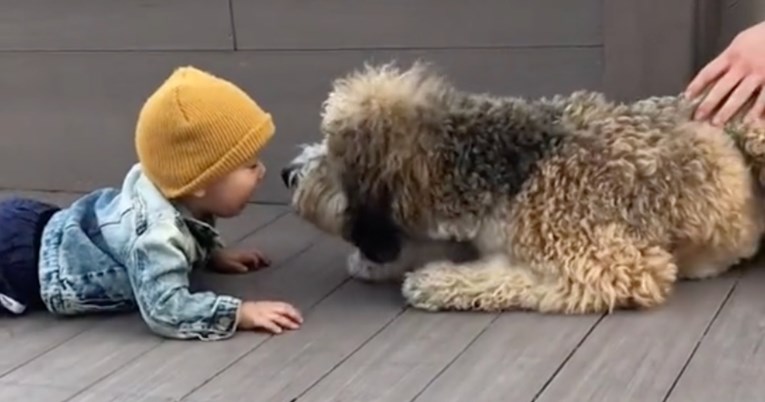Pogledajte preslatku reakciju dječaka koji se prvi put susreo sa psom