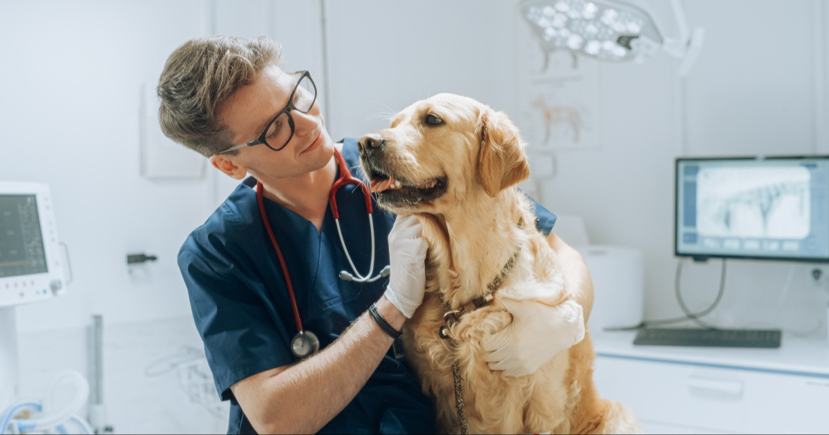 Danas obilježavamo Svjetski dan veterinara