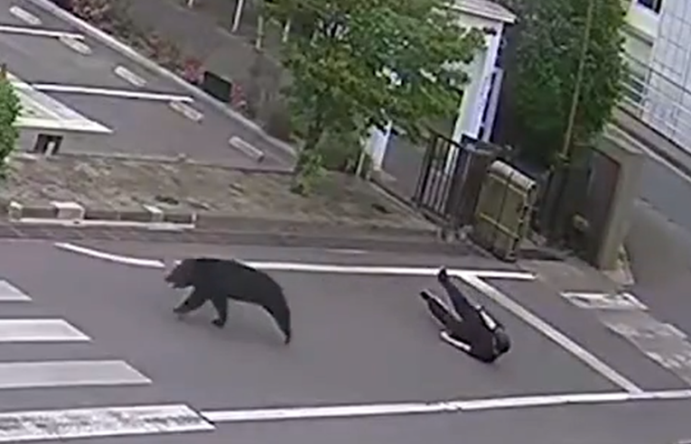 VIDEO Medvjed napao četvero ljudi u Japanu i pobjegao. Građanima izdano upozorenje