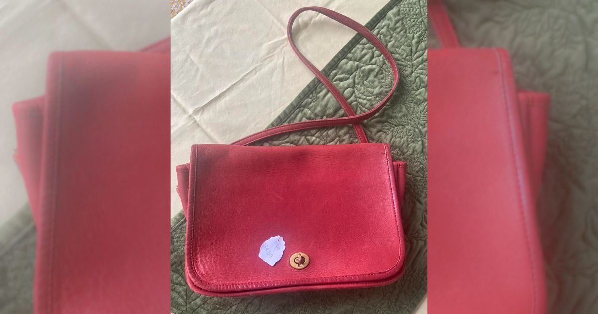 Torbicu poznatog brenda pronašla za manje od 4 eura