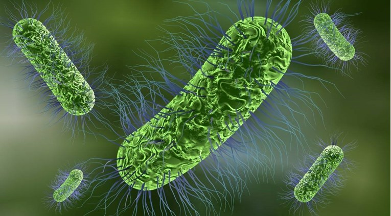 Izgleda da bakterije zbog željeza pamte i donose neke "odluke", tvrde znanstvenici