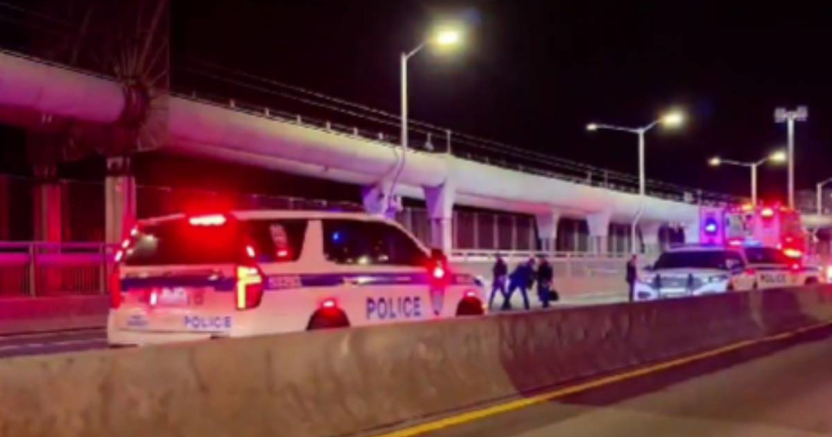 Muškarac (46) upucan dok je vozio preko mosta u New Yorku
