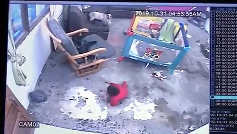 Nadzorna kamera snimila hrabru macu koja je spasila bebu od pada sa stepenica