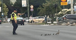 Fotka dana: Policajac u Sarajevu zaustavio promet da bi patka s pačićima prešla cestu