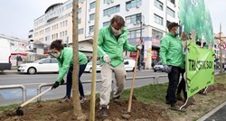 Aktivisti Greenpeacea u Zagrebu zasadili drvored