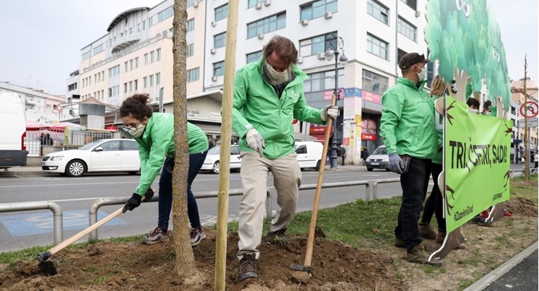 Aktivisti Greenpeacea u Zagrebu zasadili drvored