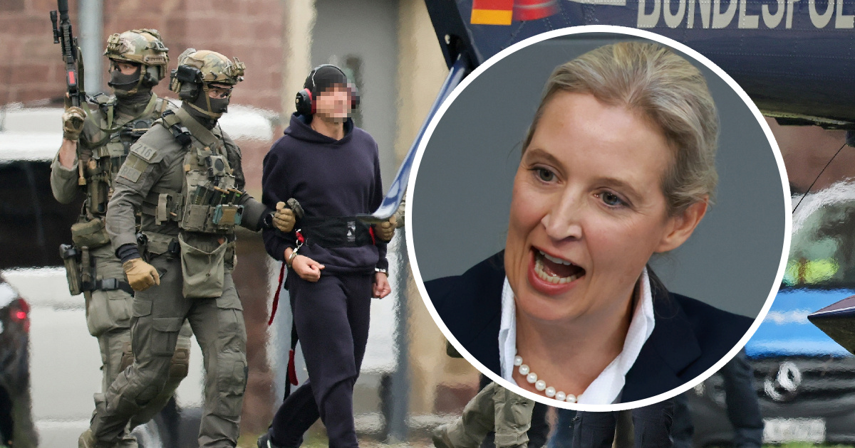 Šefica AfD-a: Ukrajina mora platiti za miniranje našeg plinovoda