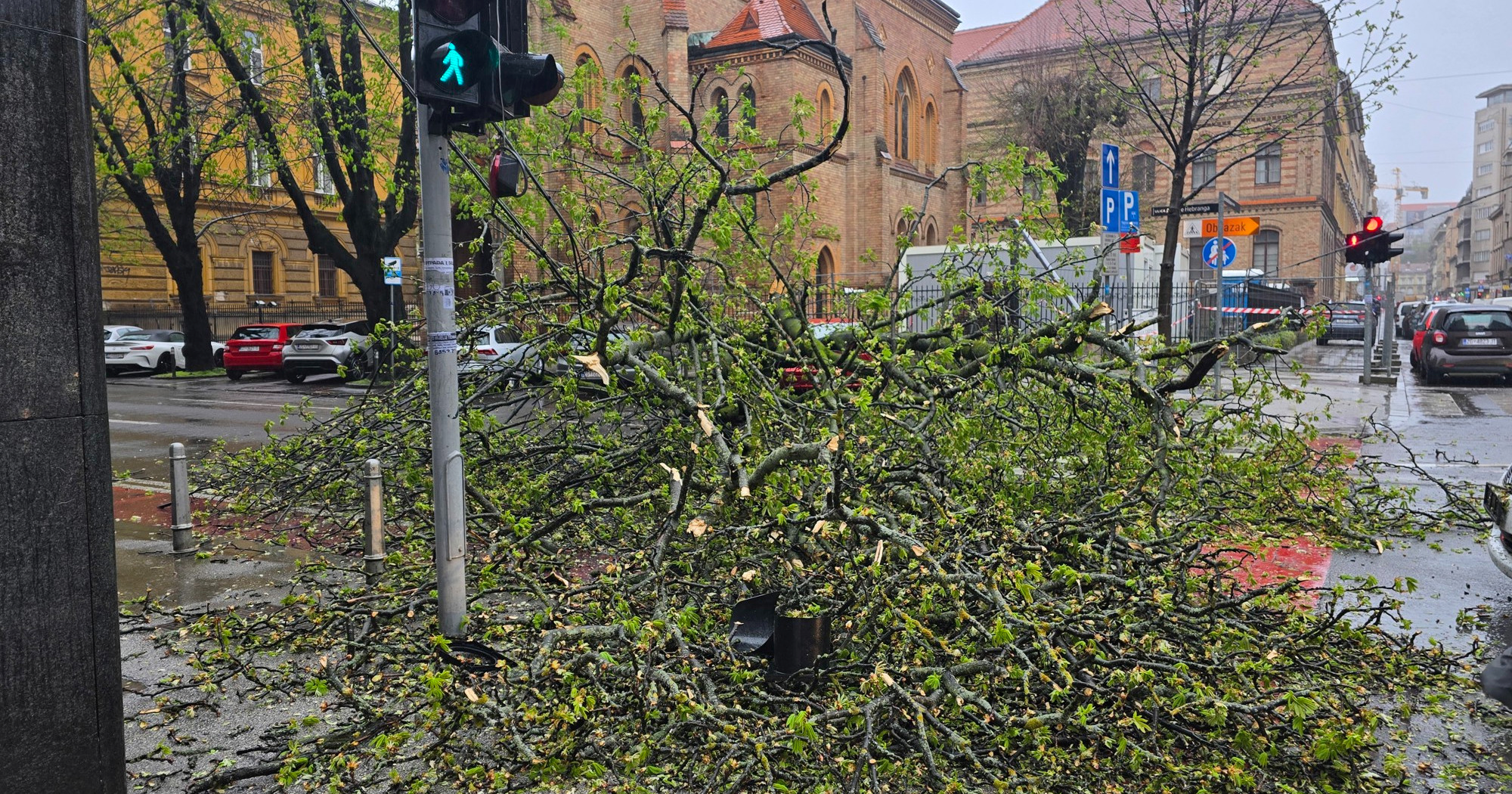 FOTO Vjetar srušio stablo u centru Zagreba