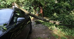 U Dubrovniku palo stablo i ozlijedilo čovjeka
