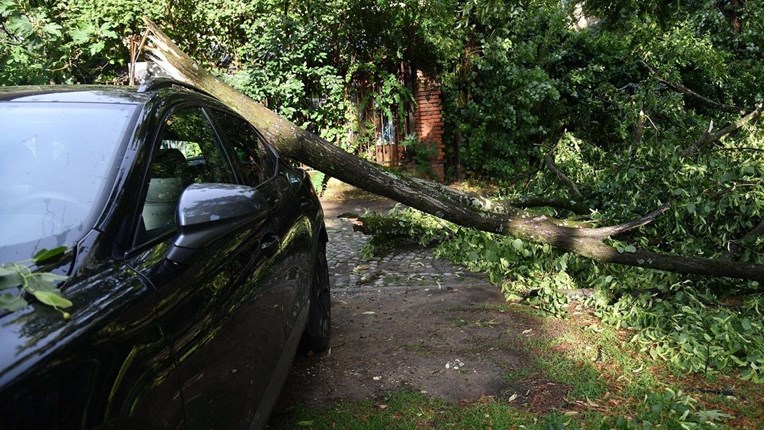 U Dubrovniku palo stablo, čovjek je ozlijeđen