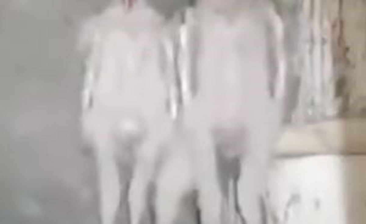 Viralni video beba sova uznemirio ljude: "Izgledaju kao alieni"