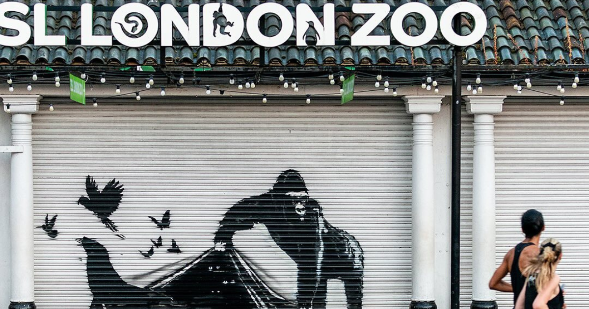 Londonski zoološki vrt uklonio Banksyjev mural, stavljen na čuvanje
