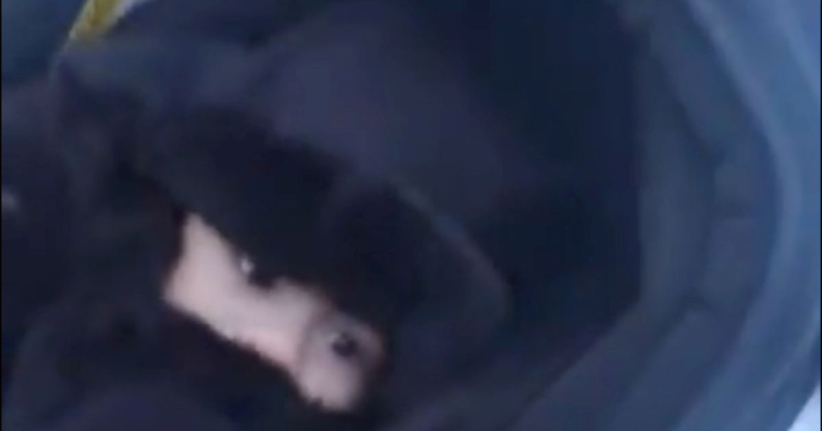 Jeziva snimka iz Ukrajine. Rusi napali putnički vlak, roditelji jedva spasili bebu