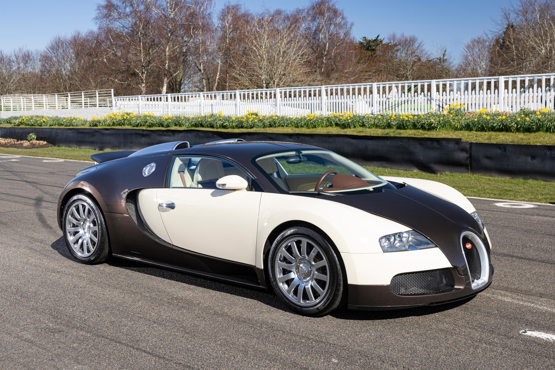 FOTO Jedinstveni Bugatti Veyron na aukciji. Cijena je iznenađujuća