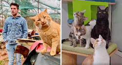 Mačke iz osječke udruge šalju podršku Lasagni uoči Eurosonga, pogledajte video