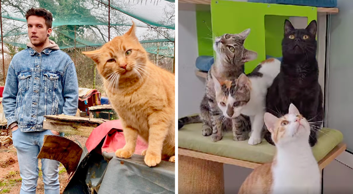 Mačke iz osječke udruge šalju podršku Lasagni uoči Eurosonga, pogledajte video