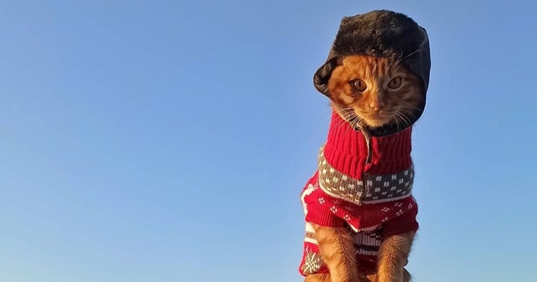 Ovaj simpatični mačak sa šubarom i u džemperu ide u ribolov. Postao je senzacija