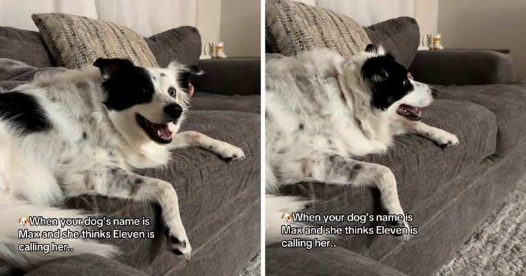 VIDEO Kujica gledala Stranger Things, a onda je u jednoj sceni čula svoje ime