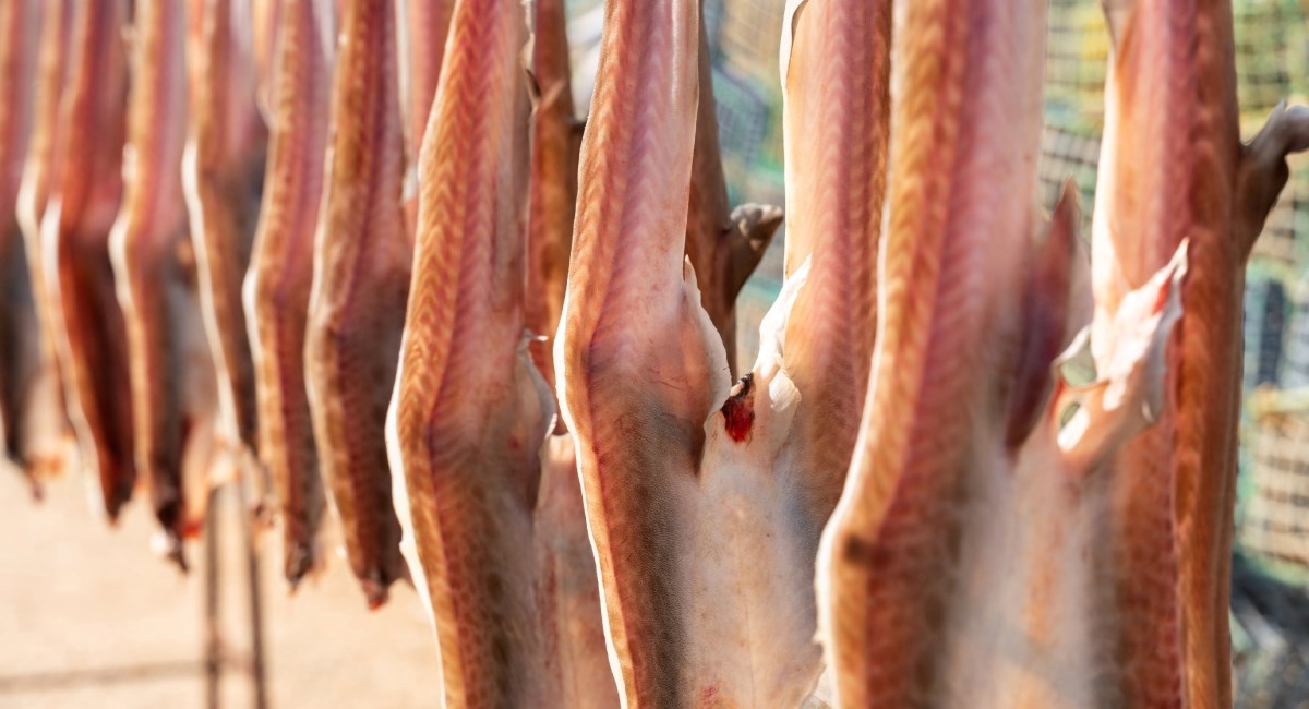 I Hrvati imaju deliciju u rangu norveškog bakalara, evo o kojem je jelu riječ